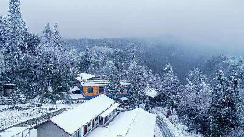 气温骤降,雪花飘落,天台山都被染白了!