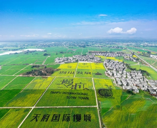 白头镇五星村(图据今日崇州)