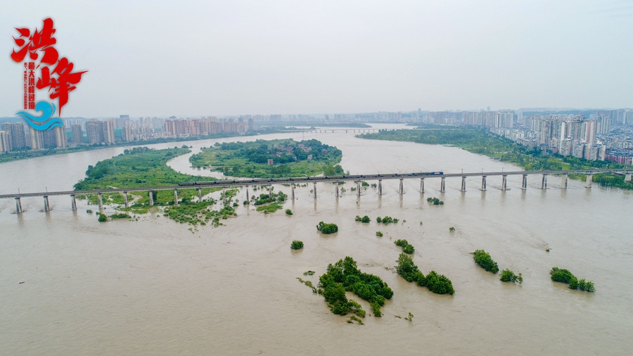 遂宁涪江段迎来最大洪峰过境,九莲州生态湿地公园受到一定影响.