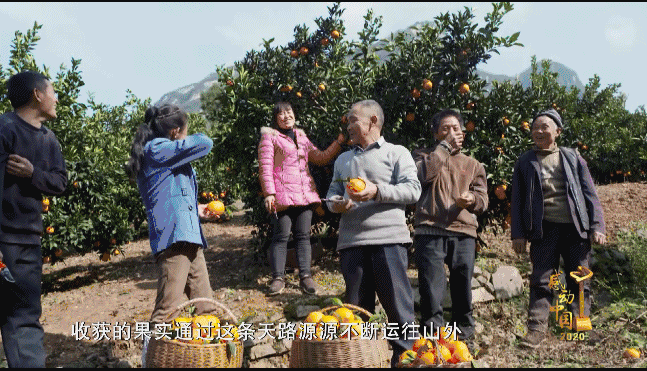 感动中国丨不信天不认命!当代愚公毛相林铺就绝壁天路