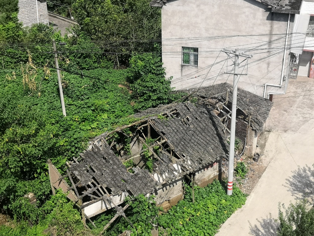 住建安全在行动79丨屋外种菜屋内堆东西南充这处d级危房出入自由