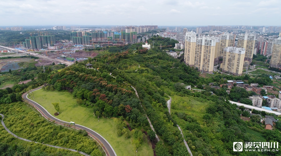 视频|探访城市绿肺 天府新飞跃走进城南新区塔山公园