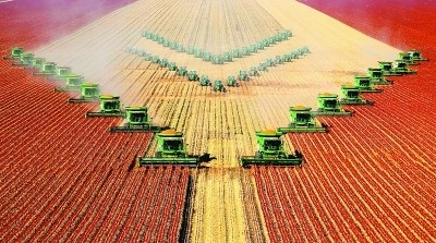 北大荒开发建设:铺展中国特色农业现代化之路