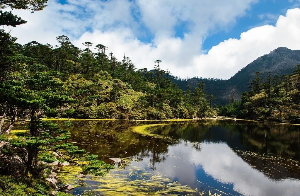 而冬的美好正在进行时谢宝宪/摄螺髻山位于凉山州普格县这里峰峦叠翠