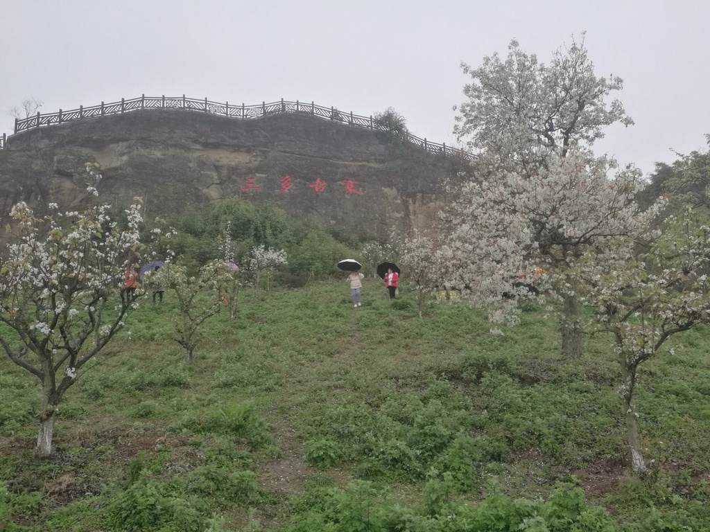 已创建成为国家aaa级旅游景区,不仅在自贡市颇具代表性,也是四川文旅