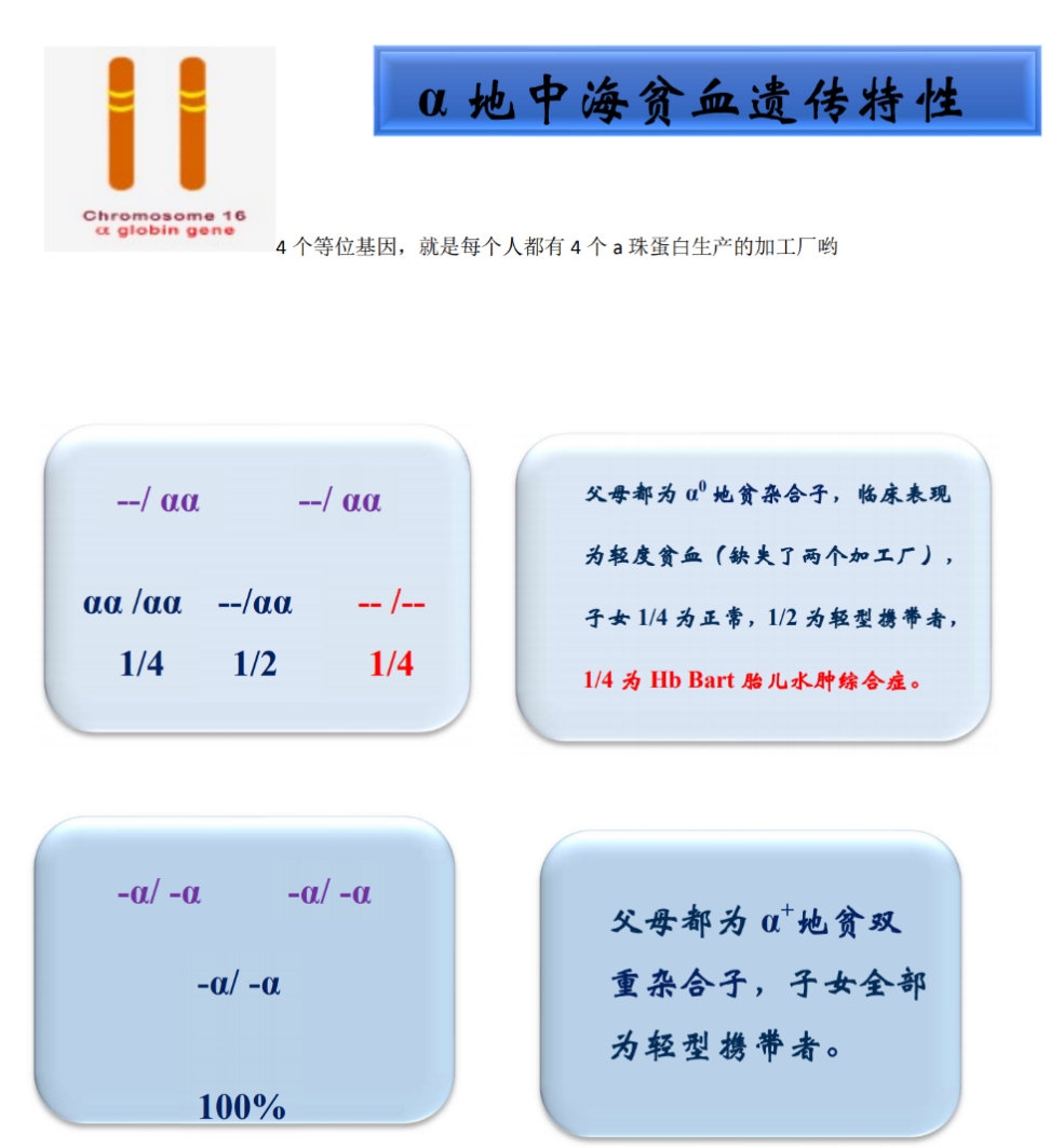 准爸准妈必读!这类贫血可能拖垮一个家