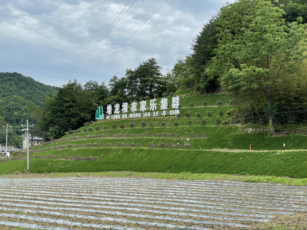 广元:曾家山上,"候鸟"归来 避暑客人也来了