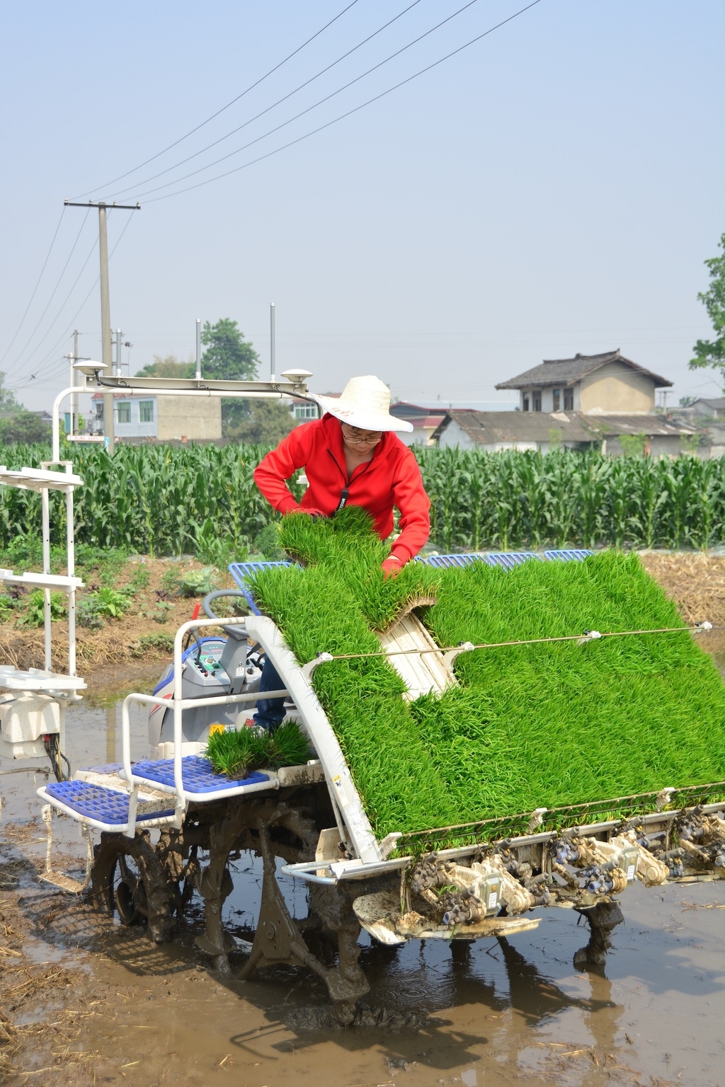 "许雯琪说,目前示范区拥有各类农业机械,农机具达6398台(套),农机总