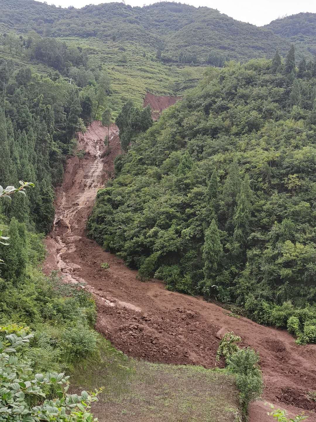 视频|剑阁县山体滑坡形成泥石流,已安全转移40名群众