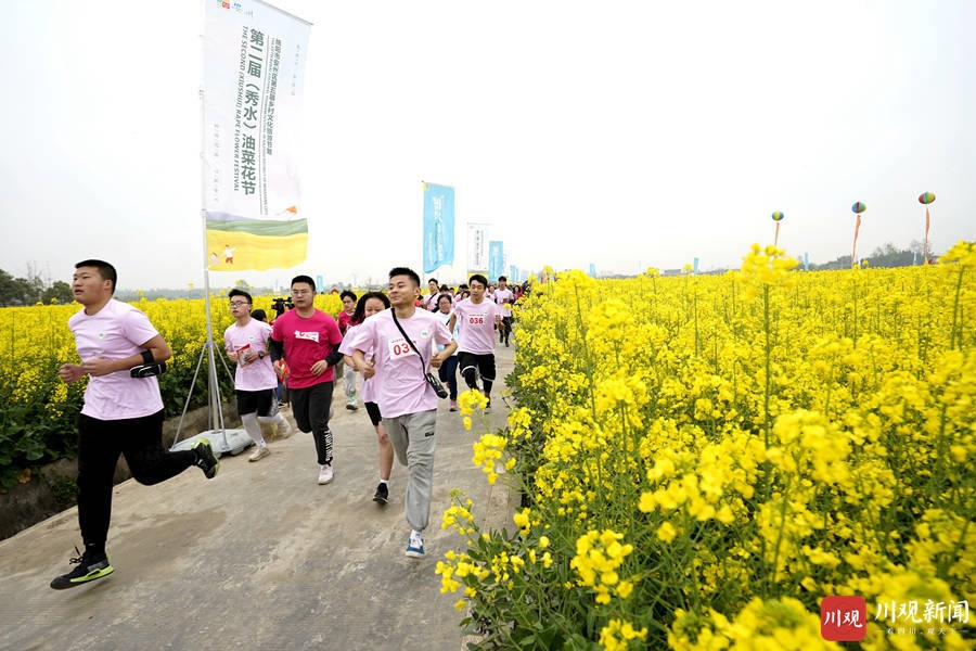 绵阳安州:油菜花海欢乐多