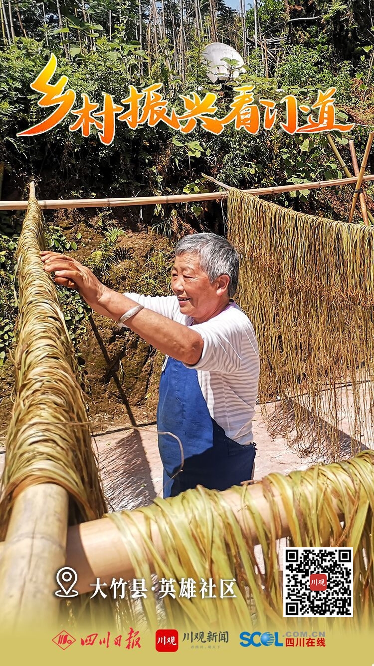 宁种苎麻,不种玉米 苎麻一年可产三季,民间流传着一句谚语"头麻秧,二