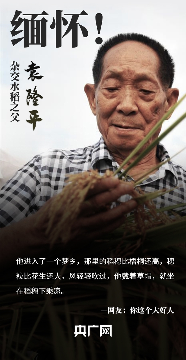 泪目网友集体缅怀袁隆平您是看着我们吃完午饭才走的
