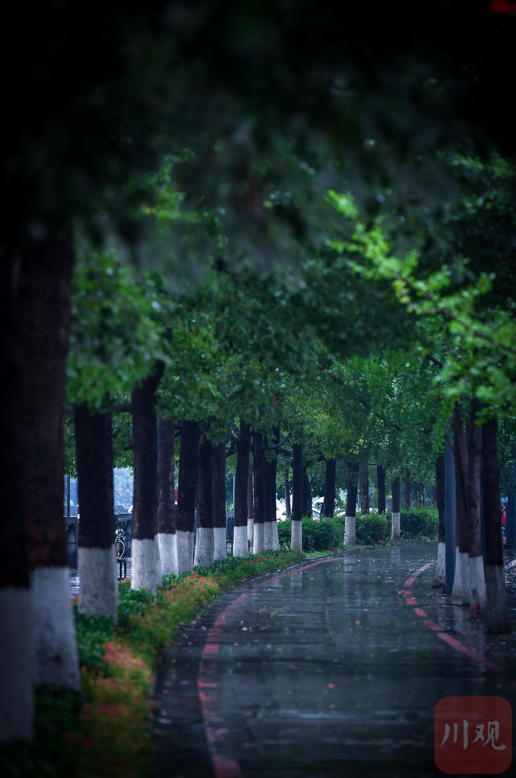 雨中的街道