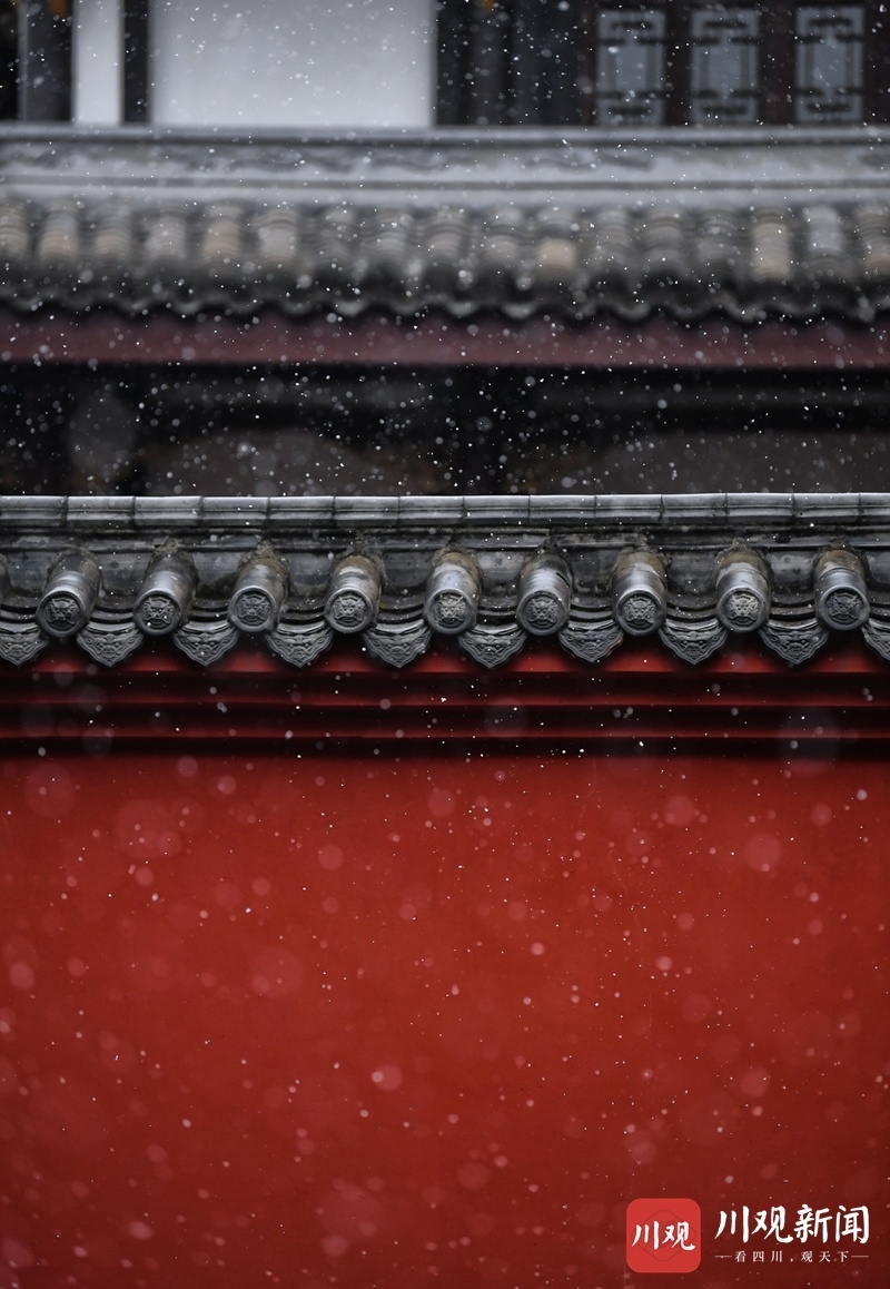 组图|来了来了!雪落朱墙 成都雪景壁纸上新