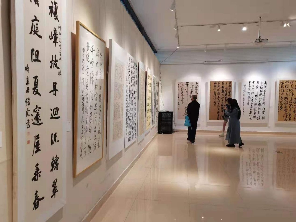 "大美四川"美术展献礼建党百年 248件作品记录四川发展讴歌建设成就