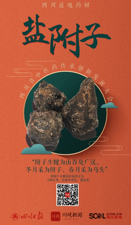 【盐附子】