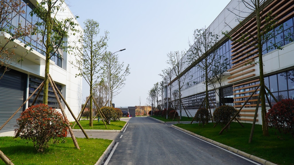 借力东西协作 犍为建起飞地园区加速产业聚集