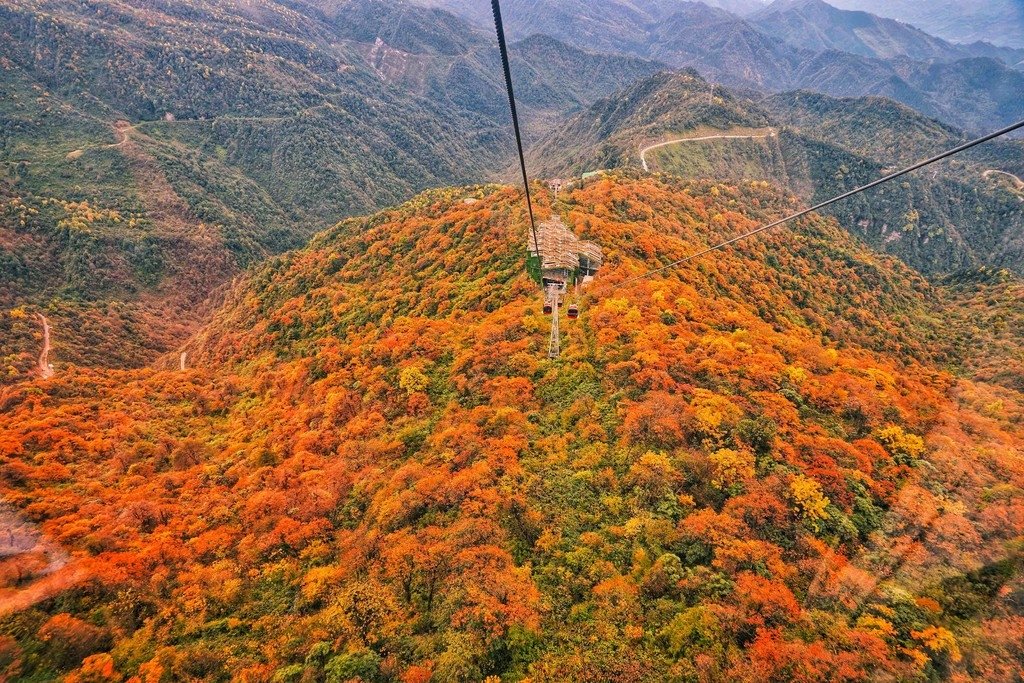 四川的秋天有多美 | 去亚洲最大桌山瓦屋山 感受红叶的浪漫吧