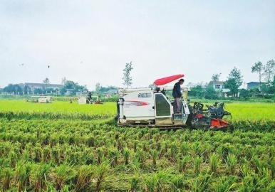 NEWS_02BB66BCD6E0224C2C25284C8D903BBD.JPG