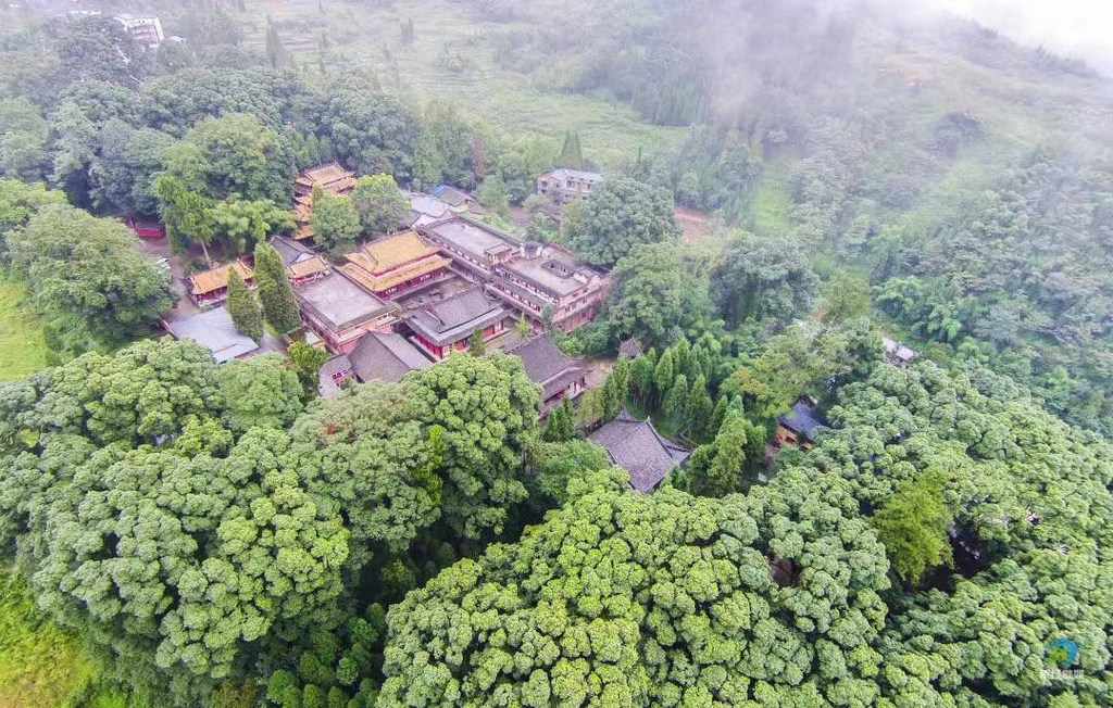 趣说雅州|西蜀名刹云峰寺 树龄1700年的桢楠王生长在这里