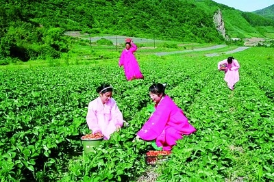 东北边陲：旅游兴市 产业富民