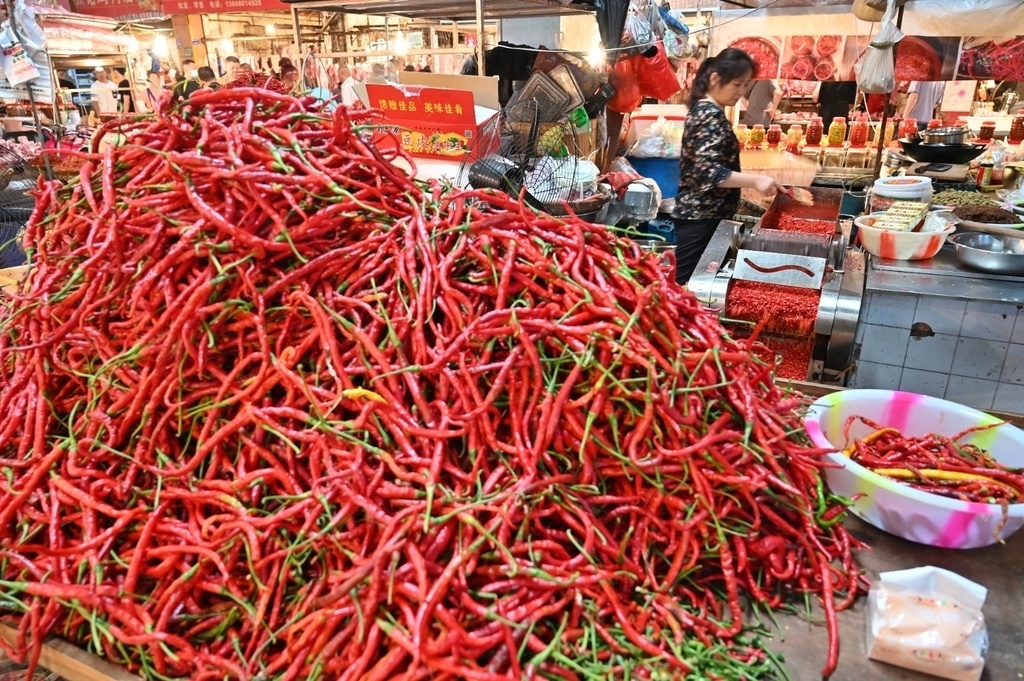 视频丨入伏天剁椒正当时九把刀已成菜市场江湖传说 四川在线