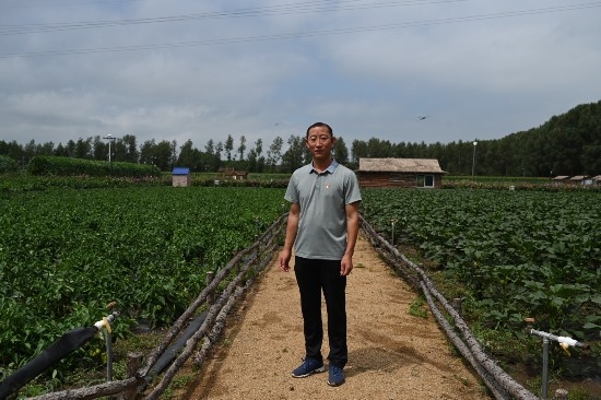 白双龙在开心农场  澎湃新闻记者 孙湛 图
