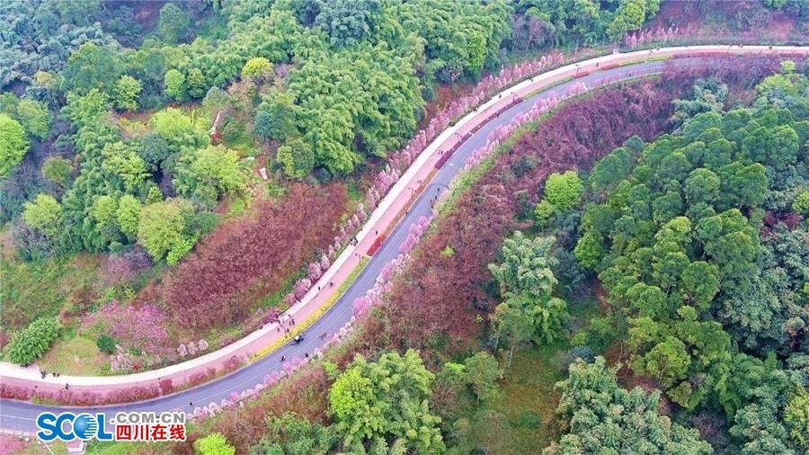 串珠成線 樂山嘉州綠心公園再添新打卡點