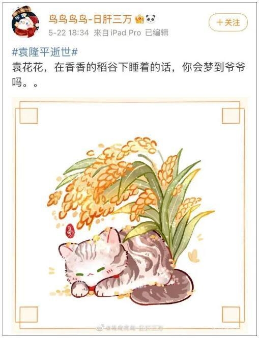 袁隆平的猫简笔画图片