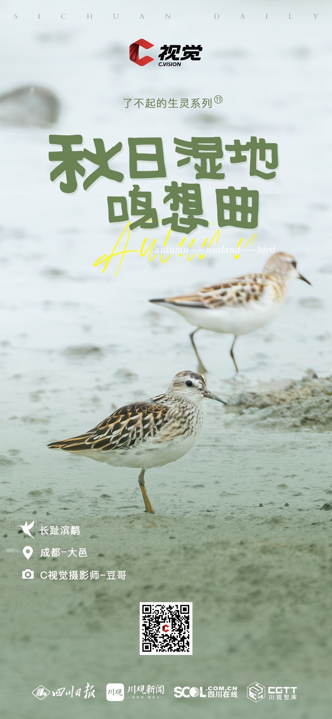 雷火电竞官方网站_C视觉了不起的生灵⑪|秋日湿地鸣想曲(图27)