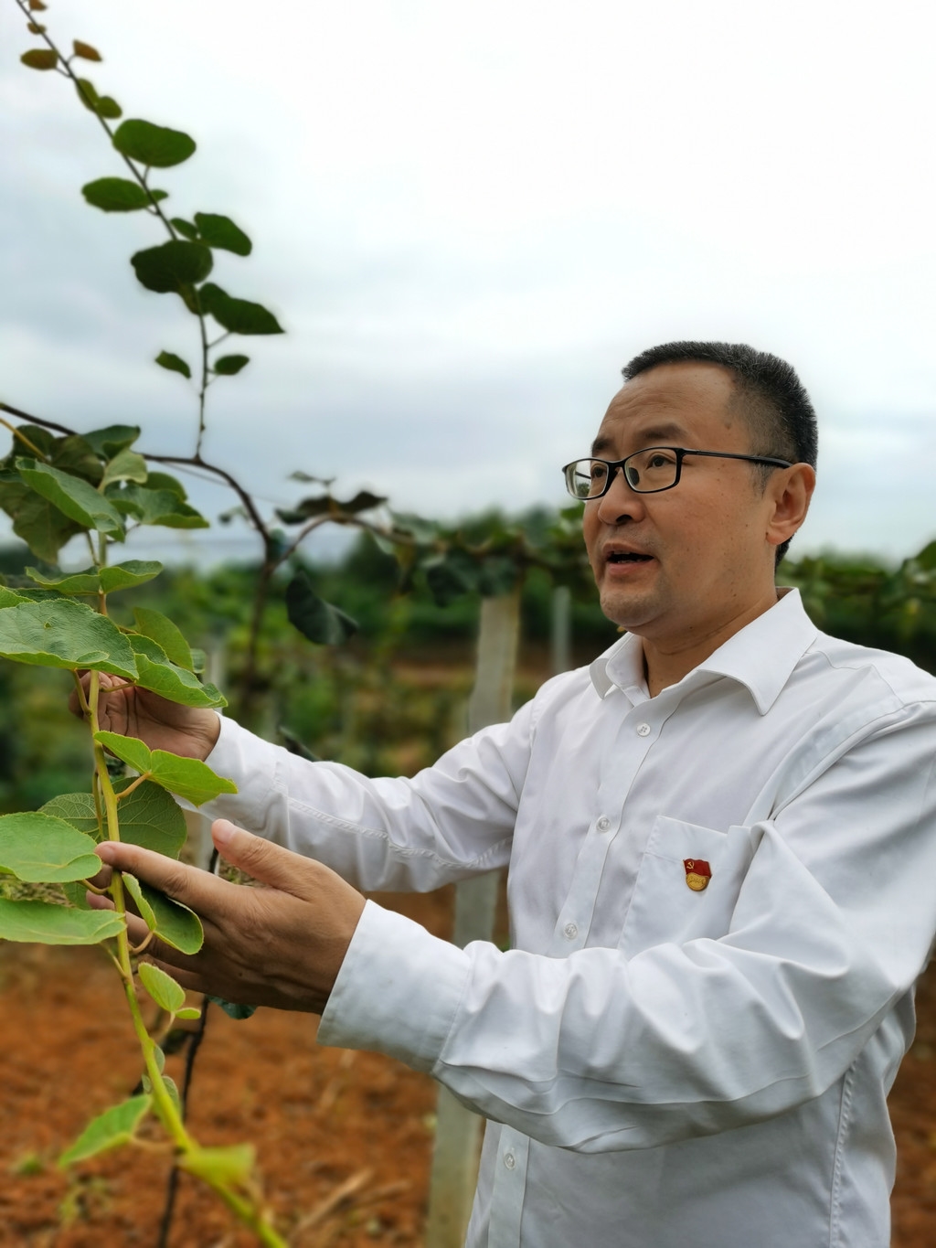 新疆李光辉个人简介图片