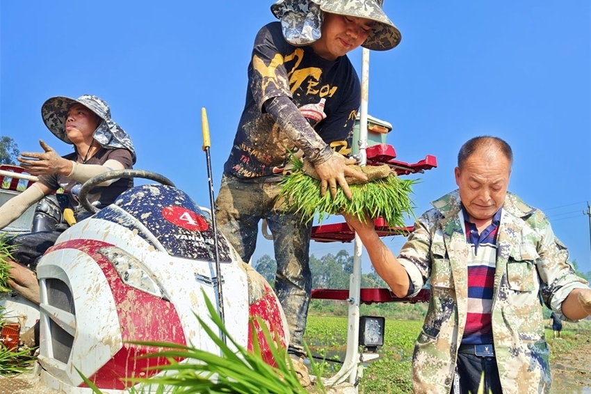 人机合作更高效。青神县融媒体中心供图