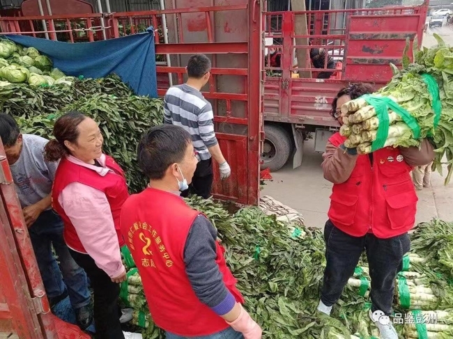 ‘kaiyun官方注册’蓉我沪你 成都彭州100吨爱心蔬菜运往上海(图2)