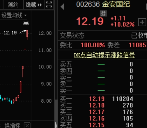 金安国纪。png