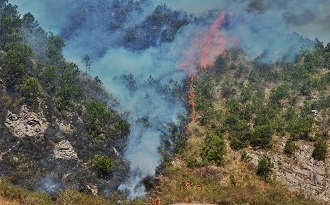 直击西昌黄水森林火灾：大火就在十米开外