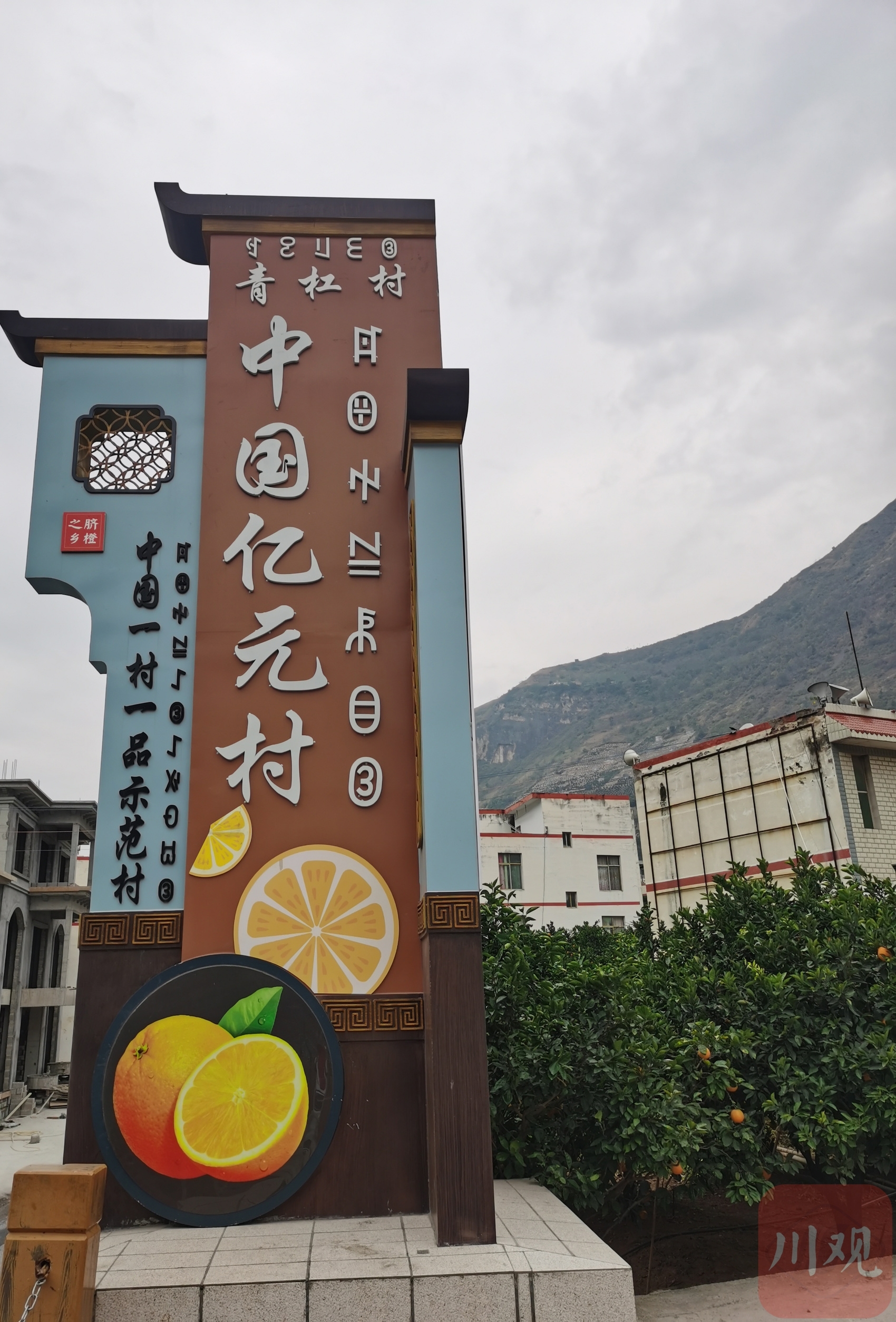 凉山首个亿元村，为何是这里？