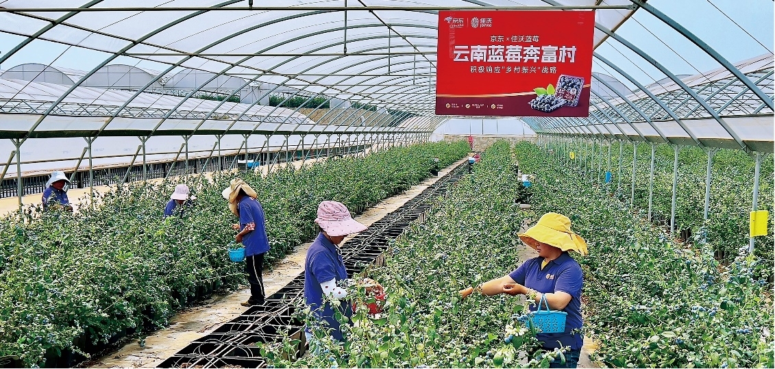 京东排行榜_京东数据分析(京东大数据):2023年10月京东手机行业品牌销售排...(2)