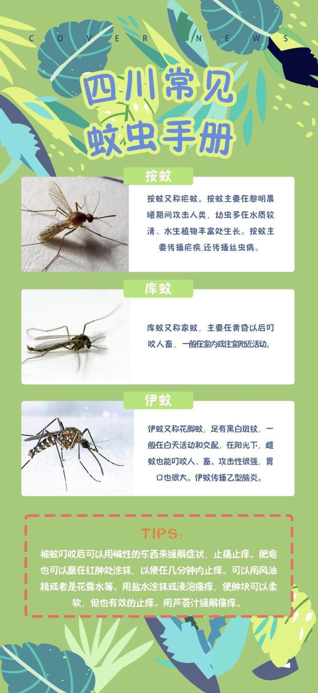 夏季蚊虫来袭！收好这份四川常见蚊虫及防护手册_pg娱乐电子游戏官网APP下载(图1)