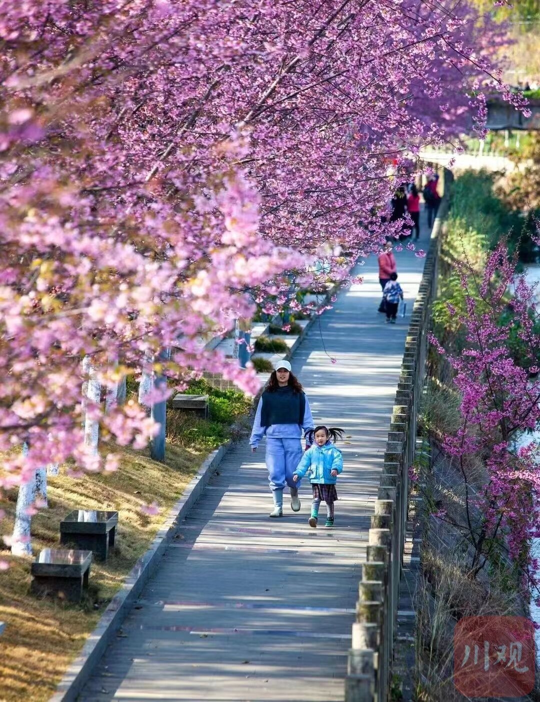 这些指数领跑，2021年攀枝花市康养产业消费满意度指数报告出炉