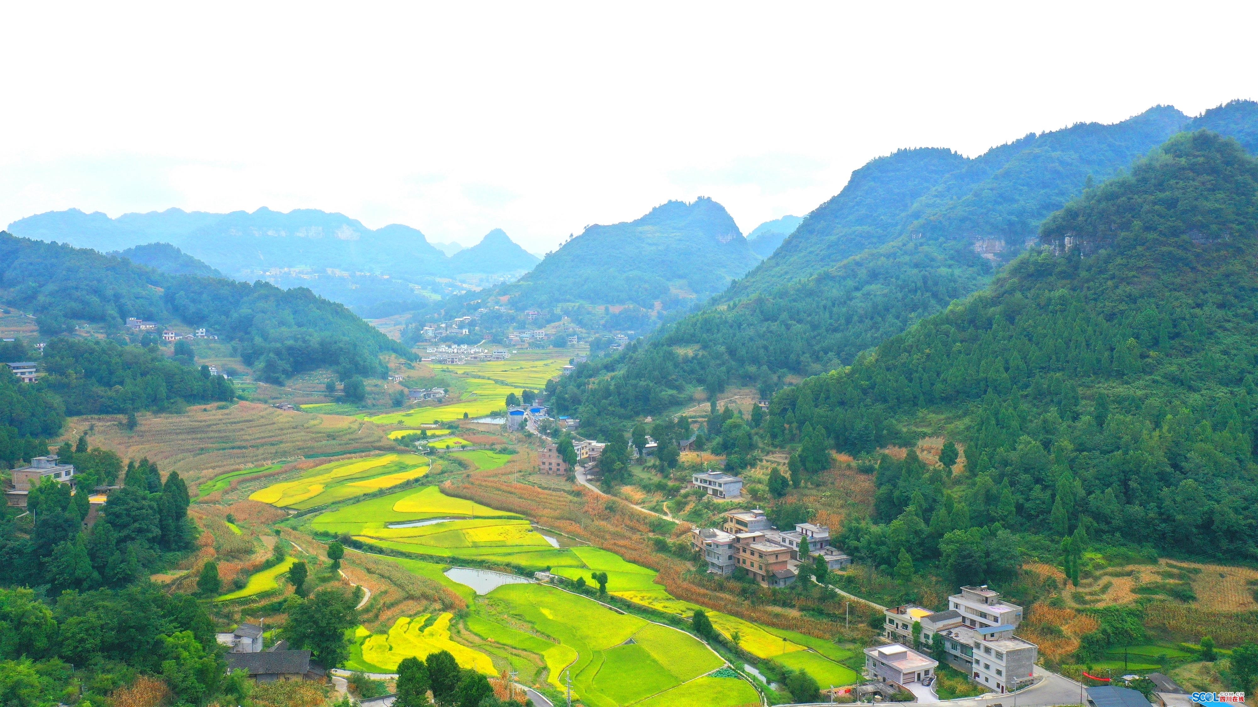 泸州频道>68>68古蔺县>68>68正文 2020-09-04 16:22:23 69