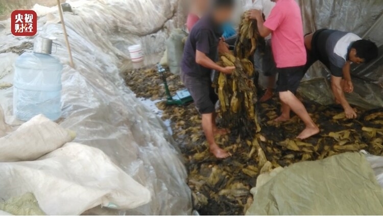 2022年“315”晚会 聚焦数字消费热点和百姓公共安全