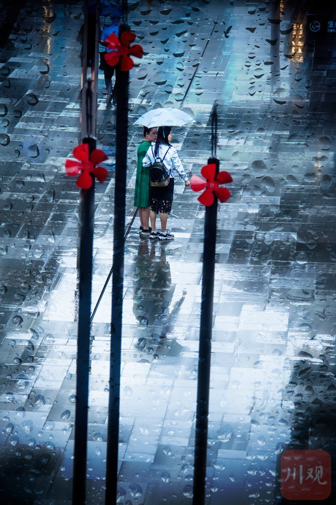 雨伞上雨珠图片图片