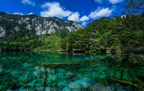 探寻四川色彩密码①苍翠绿：绿水丰涟漪，青山多绣绮