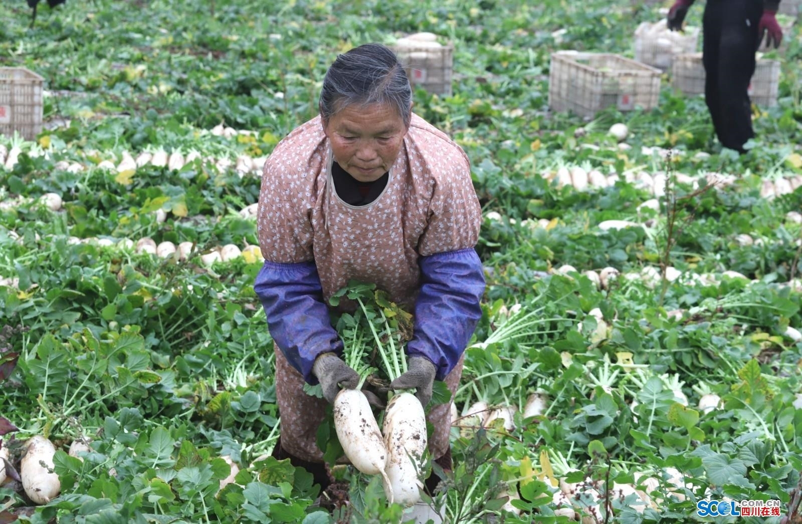 一组关于农民工生活的摄影作品_手机凤凰网