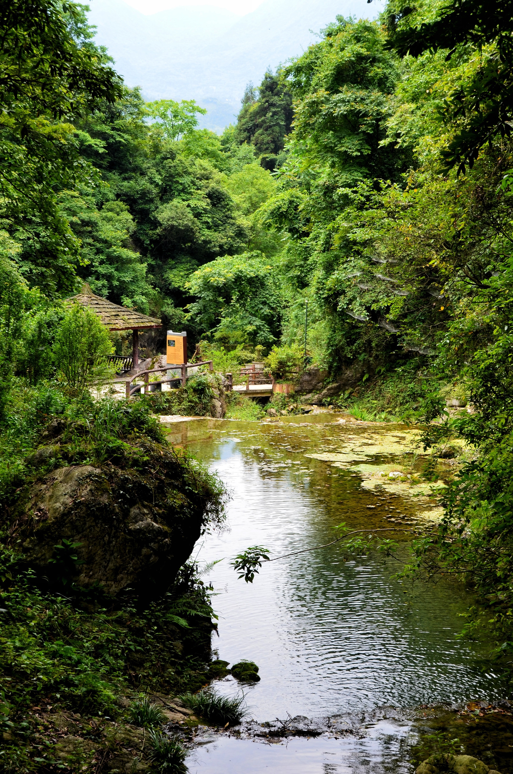 赏花,避暑,听音乐,第二届汶川岷江大峡谷赏花音乐节19日开启|夏游四川