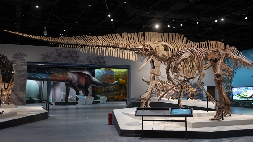 竣工！提前探访成都自然博物馆 亚洲最大恐龙化石将在这里亮相