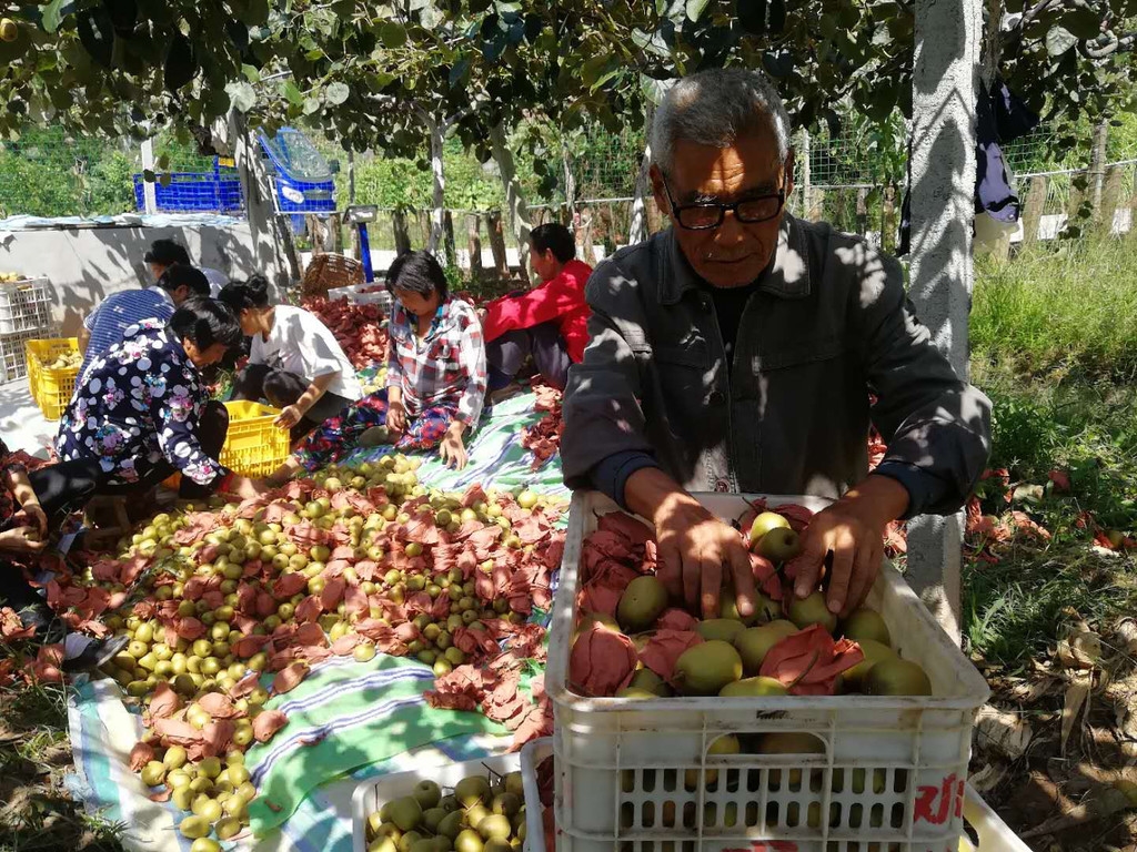 百县千村行 司法部帮扶小山村周二大走访日解难题 四川在线