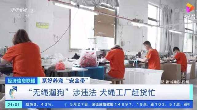 最新《动物防疫法》带火犬绳热销！千亿宠物市场，都是“铲屎官”的功劳
