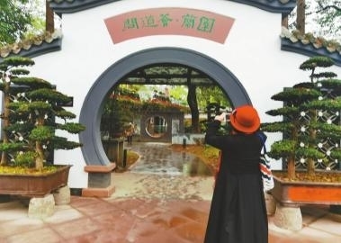 问政四川｜成都百花潭公园里，为何餐馆林立？_四川在线