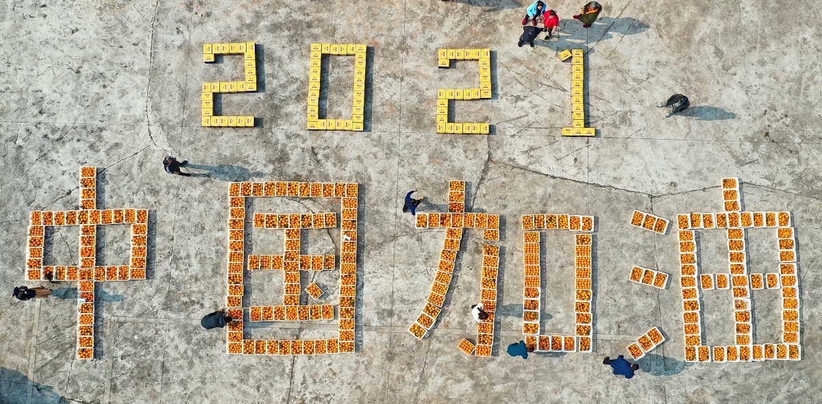 南充︱242框橘子拼出“中国加油”巨幅字样庆丰收